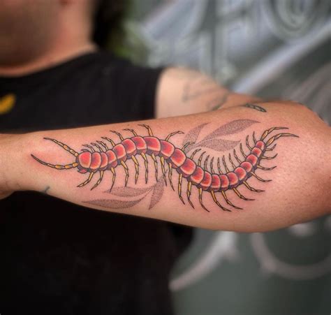 Traditional Centipede Tattoo