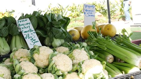 Local Food 的图像结果