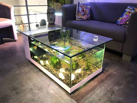 Table aquarium Maupiti | Odyssee Aquarium Odyssee Végétale