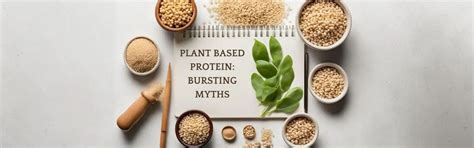 Plant-based protein: Debunking the Myths – NAKPRO NUTRITION