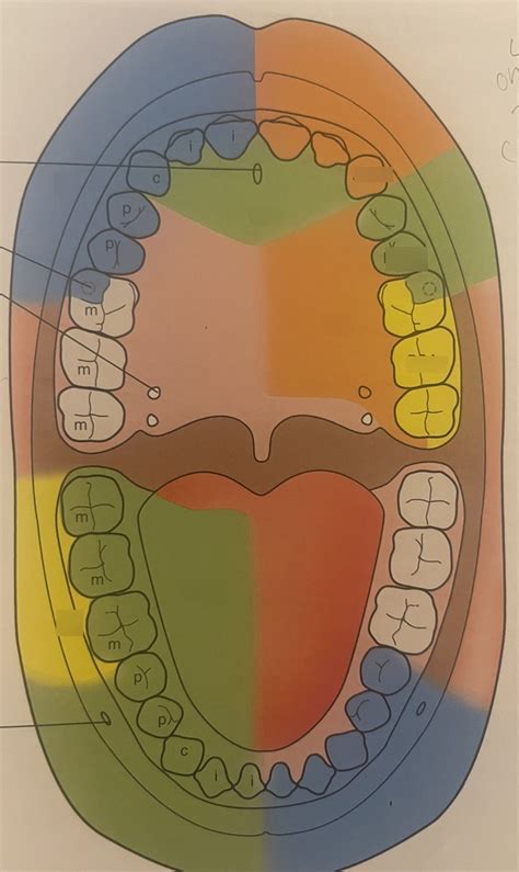 Anesthetics 的图像结果