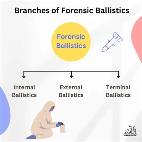 What is Forensic Ballistics in Anthropology? | Anthroholic