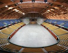 arena 的图像结果