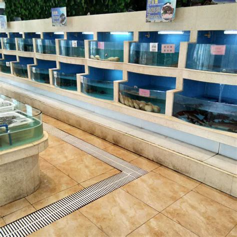 菜鱼共生环保养鱼池 - 玻璃钢养鱼池 - 四川桥水科技有限公司