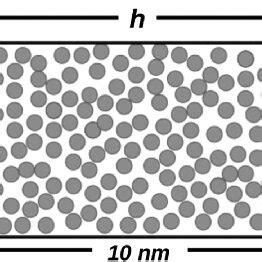 Cell Simulation 的图像结果