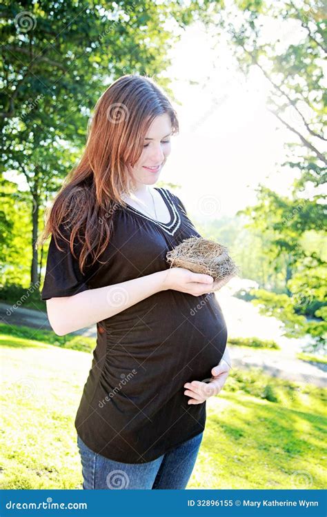 Pregnant woman with nest stock image. Image of excited - 32896155