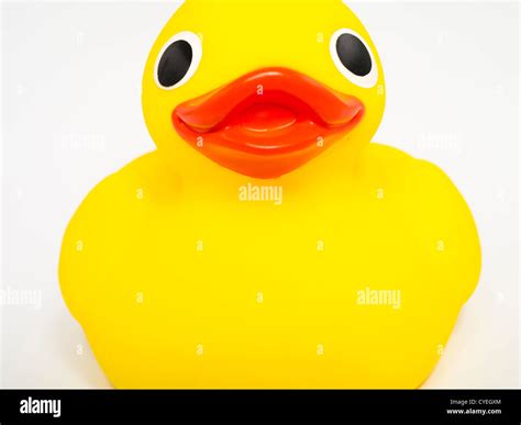 Rubber ducky hi-res stock photography and images - Alamy