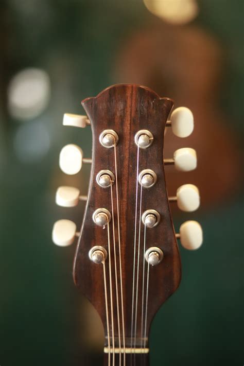 Ventura Bruno Bowlback – McCabe's Guitar Shop