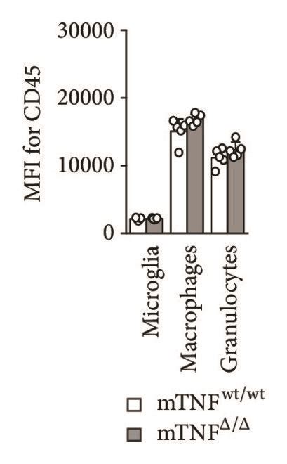 Image result for Flow Cytometry of Microglia Videotutorial