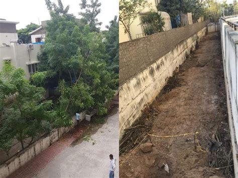 55 fully-grown trees felled in KPHB colony