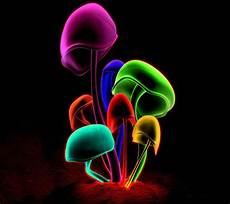 Android Neon Wallpaper Hd by Neon Wallpapers Hd 1 0 2 Apk Android Android Neon Wallpaper Hd