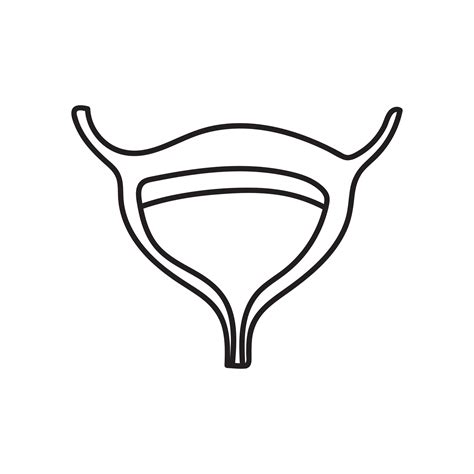Bladder Drawing