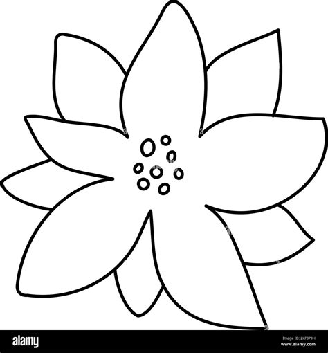 Poinsettia Plant Clipart Black And White