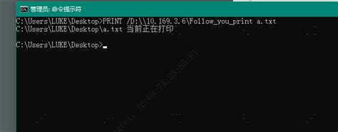 Print Command Prompt 的图像结果