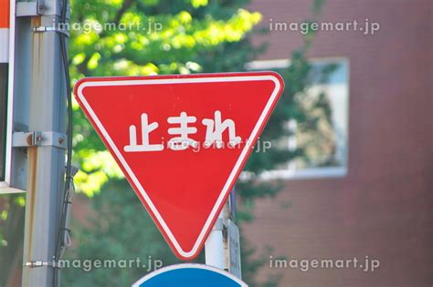 Image result for Variable Block Size Randomization