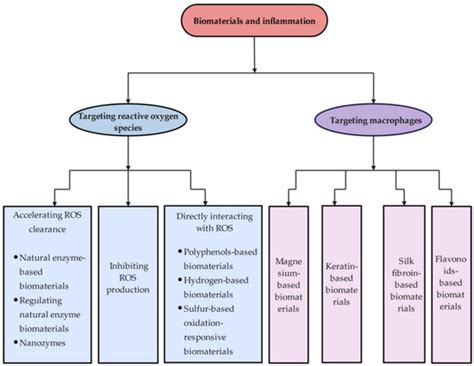 Mechanism and Application of Biomaterials Targeting Reactive Oxygen ...