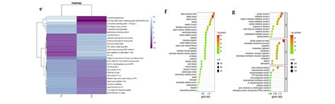 GR-MAPs | Online Genomics Resource for Medicinal and Aromatic Plants