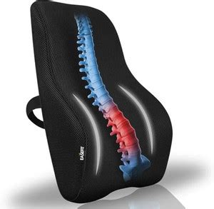 EASEFIT Back Rest Cushion for Office Chair & Car Lumbar Back / Lumbar ...