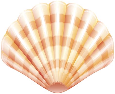 clam shell clip art free 19 free Cliparts | Download images on ...