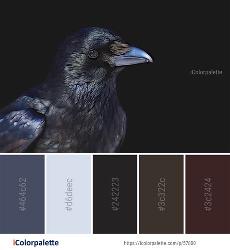 Color Palette Ideas from Bird Beak Crow Like Image | iColorpalette