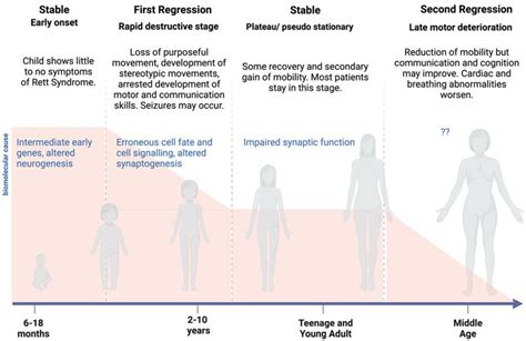 Rett Syndrome and the Role of MECP2: Signaling to Clinical Trials