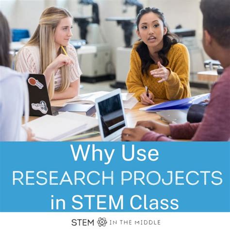 Image result for Stem Project Research Paper Example