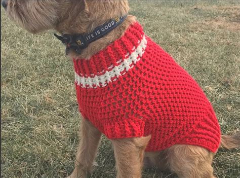 Image result for Dog Sweater Crochet Tutorial