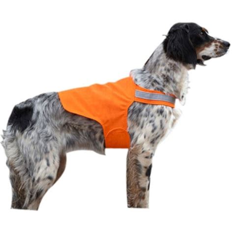 Hunting Dog Vest Pattern at Pamela Walsh blog