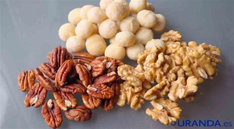 Nueces (de nogal, pecanas, de macadamia y de Brasil): calorías, índice ...