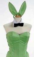 Image result for Bedroom Bunny Costume