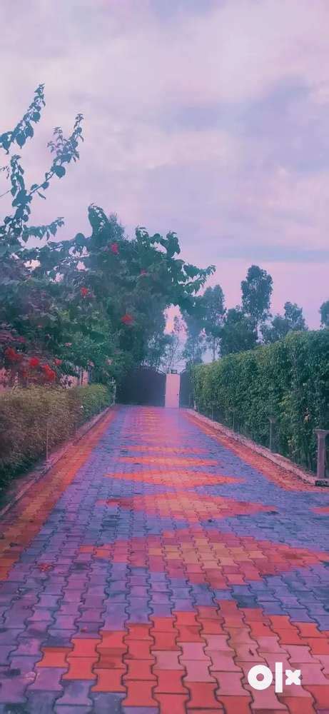 Urgent sale - For Sale: Houses & Apartments - 1798520791