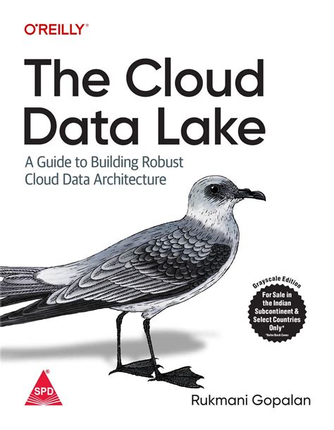 Buy The Cloud Data Lake: A Guide to Building Robust Cloud Data ...