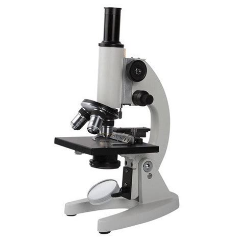 Image result for Introduction to Microscope Lab