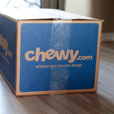 Dive Into the World of American English Coonhounds: A Comprehensive ...