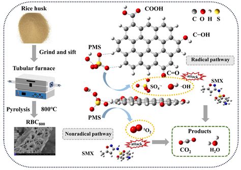 Peroxymonosulfate Activation by Rice-Husk-Derived Biochar (RBC) for the ...