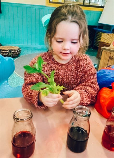 Science Time 的图像结果