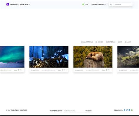 HTML Example Project Sample 的图像结果