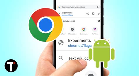 Chrome 标志 的图像结果