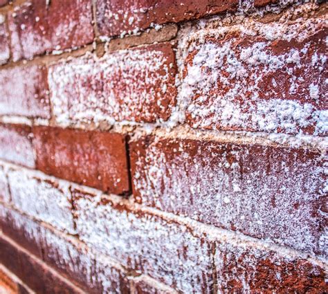 https://alldamp.co.uk/wp-content/uploads/2023/09/brick-absorption-allerton-damp.jpg