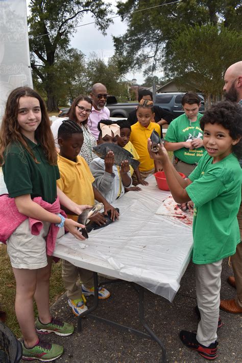 Summit Elementary Aquaponics News 2022-2023 | Summit Elementary School