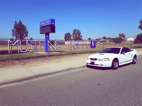 Mustang Schools Calendar - prntbl.concejomunicipaldechinu.gov.co