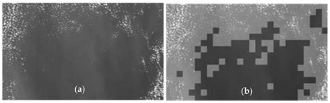 On-Board Ship Detection for Medium Resolution Optical Sensors