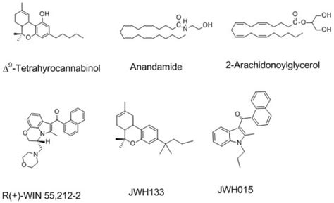 Potential Mechanisms Underlying the Deleterious Effects of Synthetic ...