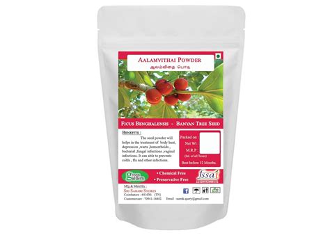 Buy Green gardern Banyan Fruit | Ficus benghalensis | Aalam palam ...