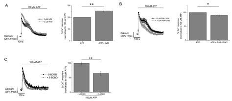 ATP-Evoked Intracellular Ca2+ Responses in M-CSF Differentiated Human ...