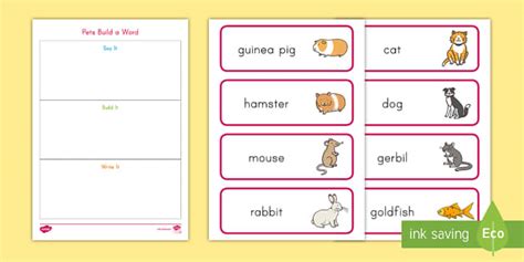 Pets Build a Word Worksheet / Worksheet