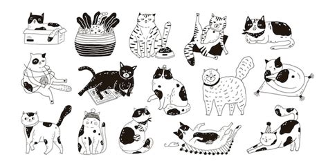 Collection of cute funny cats sitting, washing, stretching itself ...