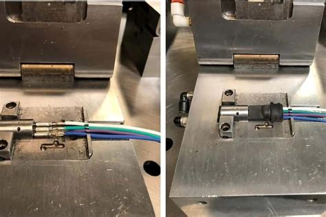 Do Fish Have Eyelid Exploring the Ocular Features of Aquatic