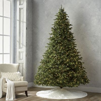 Grand Noble 10' Full Profile Tree | Frontgate