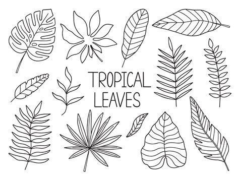Palm Leaves Drawing Easy at Emma Ake blog